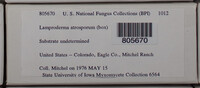 Image Associated With the Occurence